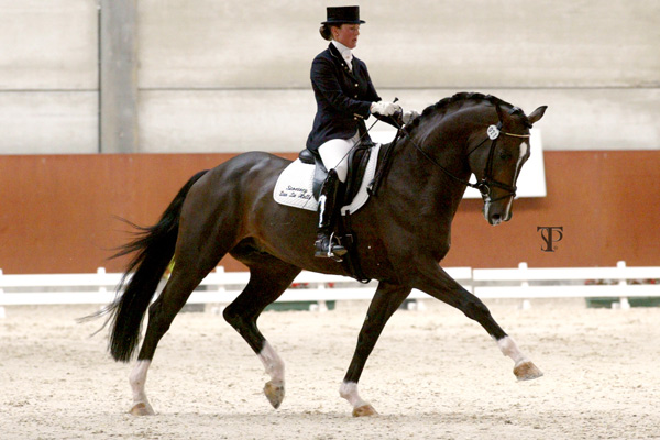 Dressage Vicky Smits